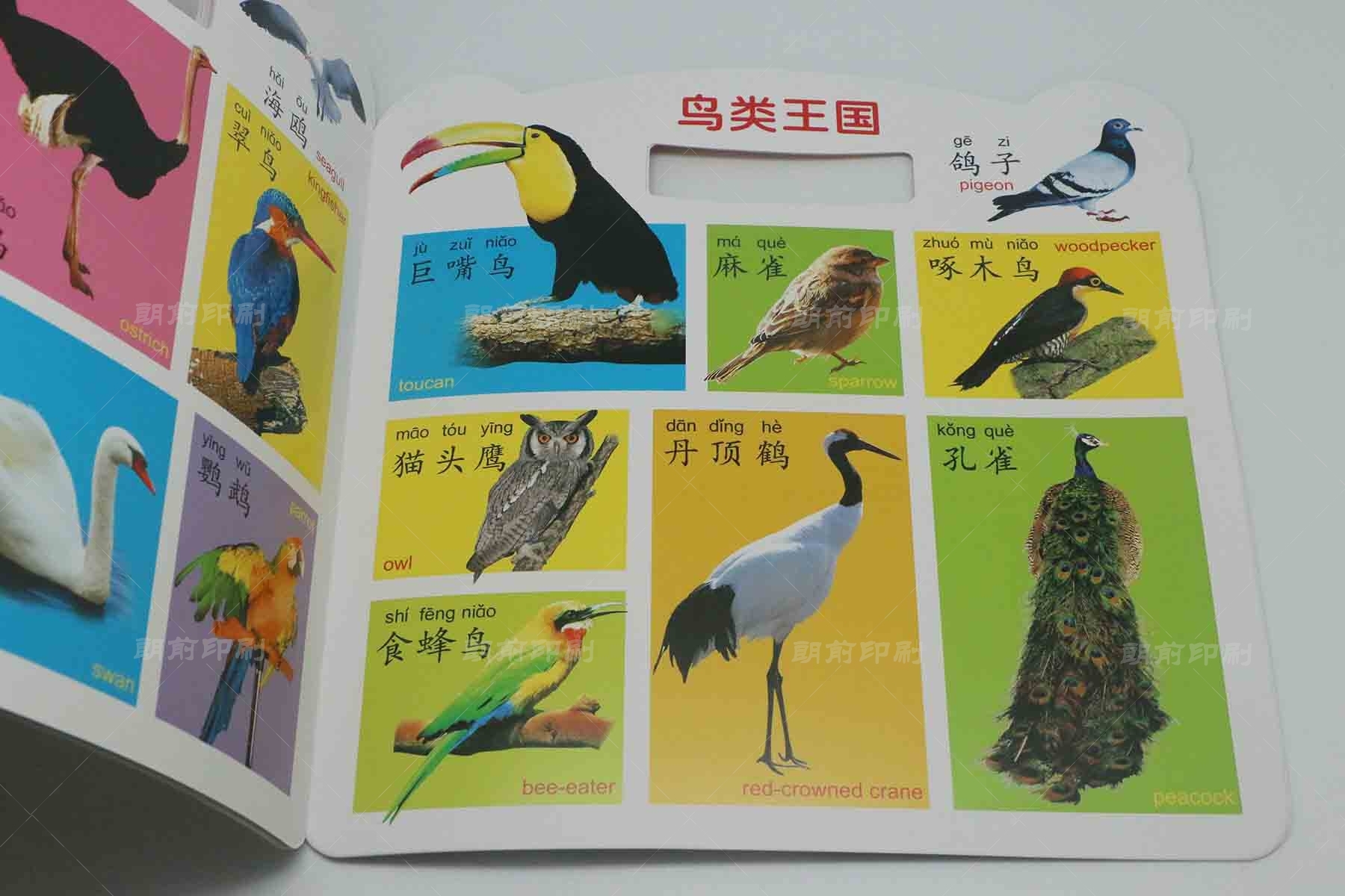 寶寶手提大書2 騎釘兒童啟蒙書印刷